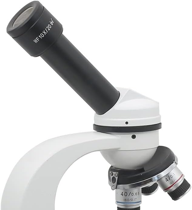 אביזרי מיקרוסקופ עינית מיקרוסקופ נקודת עין גבוהה פי 10 שדה ראייה 20 ממ הרכבה עינית 23.2 ממ עם חומרים מתכלים למעבדה בקנה מידה רשת
