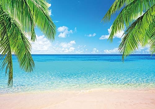 קיץ חוף ים אי עצי דקל תמונה כחול שמיים עננים לבנים צילום תפאורות 6 * 6 רגל הוואי מסיבת בריכה טרופי חוף תמונה רקע סטודיו צילום אבזרי באנר