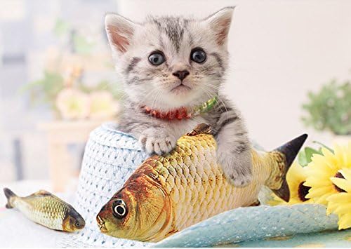 צעצוע חתול דגים מצחיק של Smartrich, כרית הלעיסה האינטראקטיבית