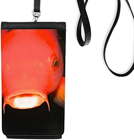 אורגניזם ימי דג אדום דג טלפון ארנק ארנק תליה כיס נייד כיס שחור